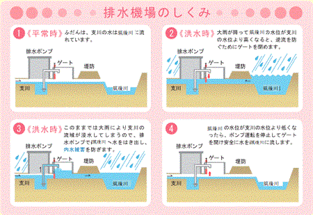 排水機場しくみ