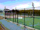 社会体育施設（テニスコート）の風景