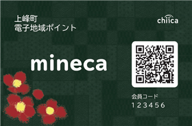 minecaカード