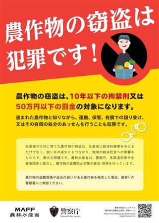 チラシ