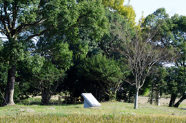 写真：堤土塁跡歴史公園1